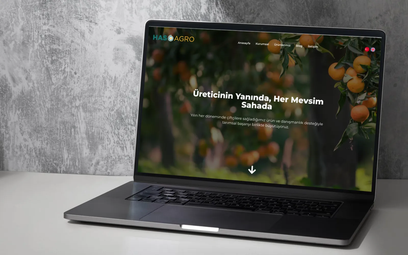 Has Agro kurumsal web sitesi tasarımı - Deniz Media Group